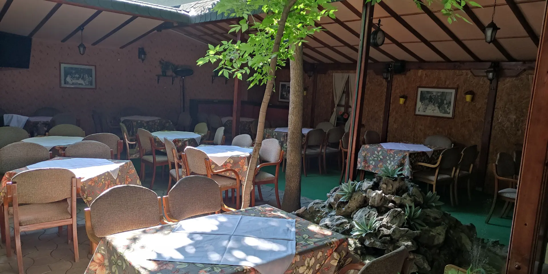 Drvo koje raste kroz krov bašte i fontana među stolovima